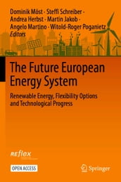 The Future European Energy System