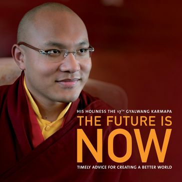 The Future Is Now - Ogyen Trinley Dorje