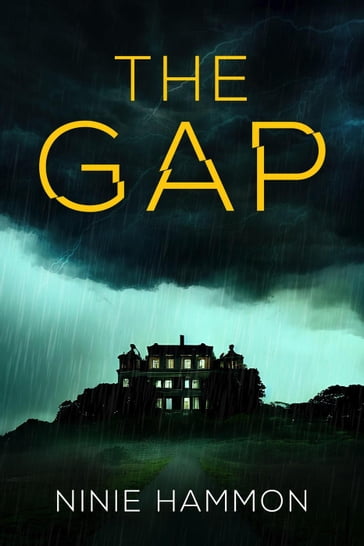 The Gap - Ninie Hammon