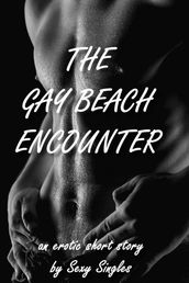 The Gay Beach Encounter