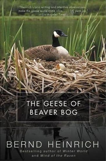 The Geese of Beaver Bog - Heinrich Bernd