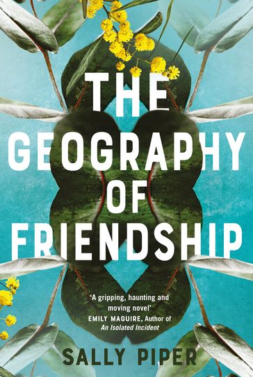 The Geography of Friendship - Sally Piper