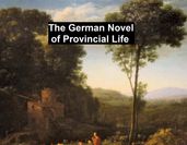 The German Novel of Provincial Life: Auerbach, Gotthelf, Reuter, Stifter, and Riehl