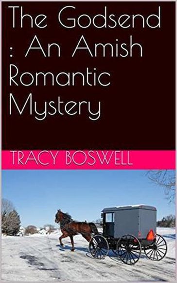 The Godsend : An Amish Romantic Mystery - Tracy Boswell