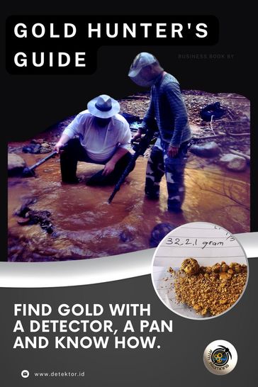 The Gold Hunter's Guide: Strategies for Success with Detectors, Pans, and In-Depth Knowledge - Stephen