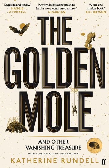 The Golden Mole - Katherine Rundell