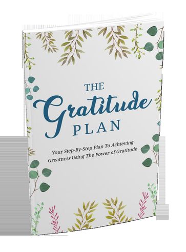 The Gratitude Plan - marie sa