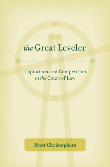 The Great Leveler - Brett Christophers