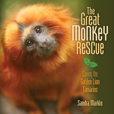 The Great Monkey Rescue - Sandra Markle