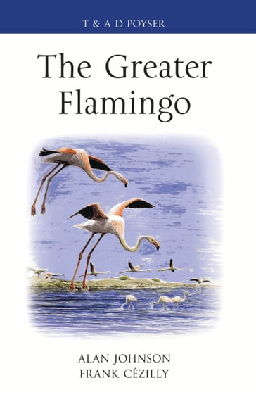 The Greater Flamingo - Alan Johnson - Frank Cézilly