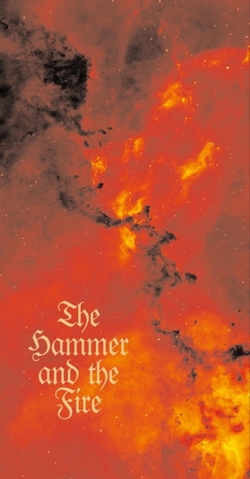 The Hammer and the Fire - Henry Marsh