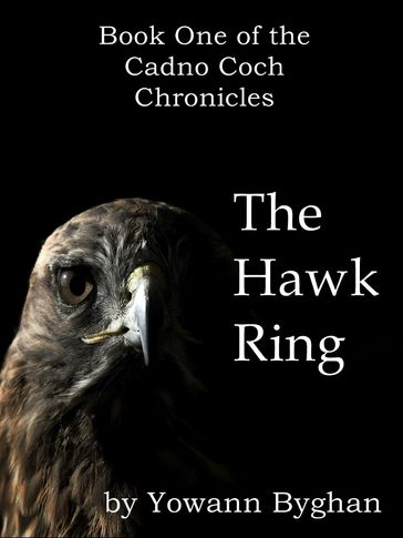 The Hawk Ring - Yowann Byghan