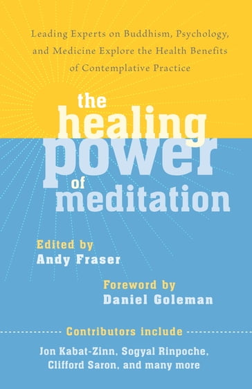 The Healing Power of Meditation - Andy Fraser - Clifford Saron - Jon Kabat-Zinn - Rinpoche Sogyal