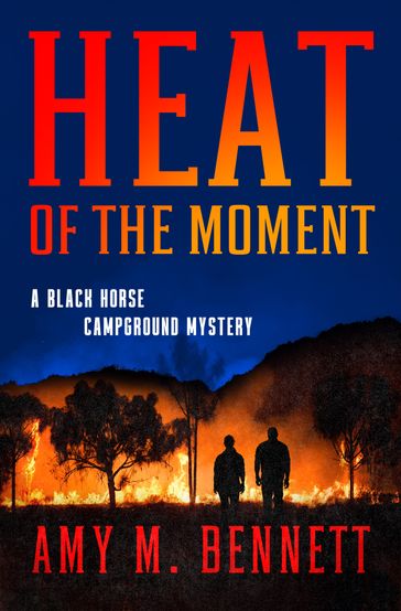 The Heat of the Moment - Amy M Bennett