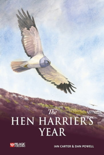 The Hen Harrier's Year - Ian Carter