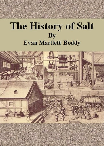 The History of Salt - Evan Martlett Boddy