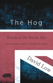 The Hog - Breeds of the British Isles (Domesticated Animals of the British Islands)
