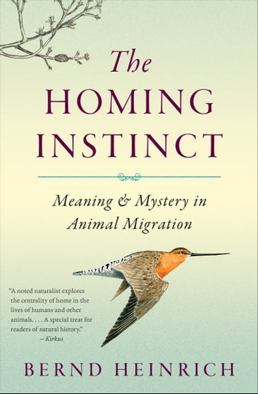 The Homing Instinct - Heinrich Bernd