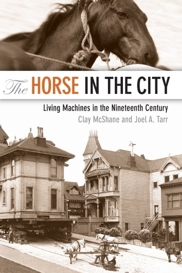 The Horse in the City - Clay McShane - Joel Tarr