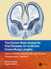 The Human Brain during the First Trimester 57- to 60-mm Crown-Rump Lengths