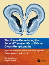 The Human Brain during the Second Trimester 96 to 150mm Crown-Rump Lengths