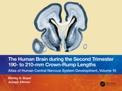 The Human Brain during the Second Trimester 190 to 210mm Crown-Rump Lengths