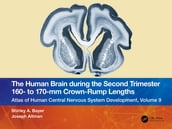 The Human Brain during the Second Trimester 160 to 170mm Crown-Rump Lengths