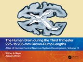 The Human Brain during the Third Trimester 225 to 235mm Crown-Rump Lengths