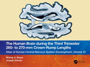 The Human Brain during the Third Trimester 260 to 270mm Crown-Rump Lengths - Shirley A. Bayer - Joseph Altman