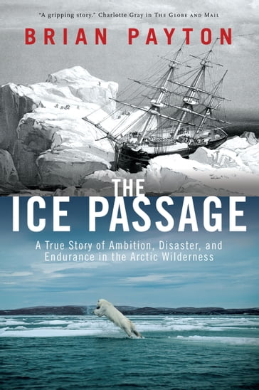 The Ice Passage - Brian Payton