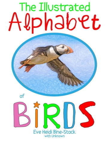 The Illustrated Alphabet of Birds - Eve Heidi Bine-Stock