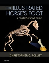 The Illustrated Horse s Foot
