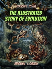 The Illustrated Story of Evolution