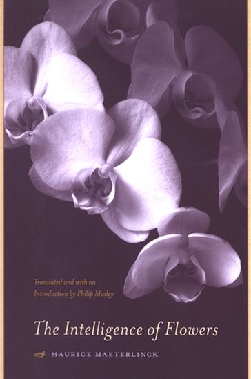 The Intelligence of Flowers - Maurice Maeterlinck