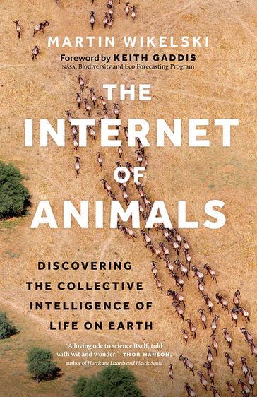 The Internet of Animals - Martin Wikelski