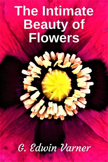 The Intimate Beauty of Flowers - G. Edwin Varner