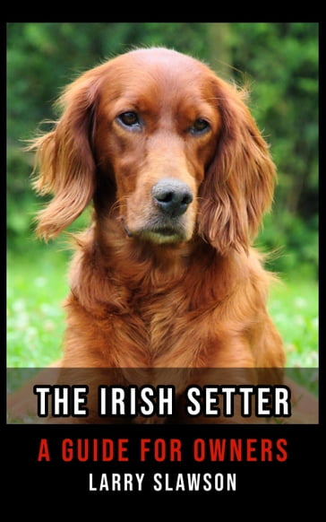 The Irish Setter - Larry Slawson