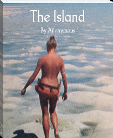 The Island - Anonymous