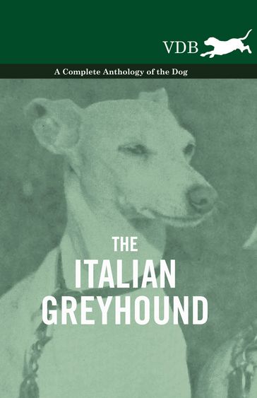 The Italian Greyhound - A Complete Anthology of the Dog - AA.VV. Artisti Vari