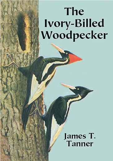 The Ivory-Billed Woodpecker - James T. Tanner