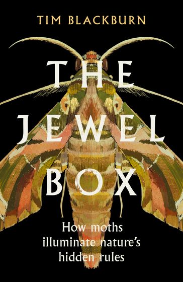 The Jewel Box - Tim Blackburn