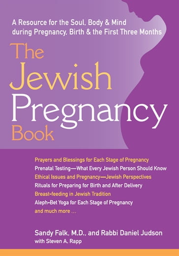 The Jewish Pregnancy Book: A Resource for the Soul, Body & Mind during Pregnancy, Birth & the First Three Months - Sandy Falk - Rabbi Daniel Judson - Steven A. Rapp