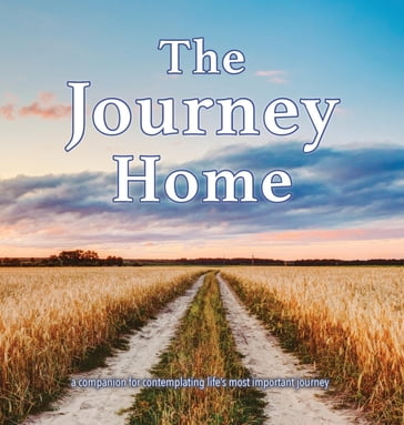 The Journey Home - Matthew D Thiele