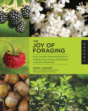 The Joy of Foraging - Gary Lincoff - Chie Nishio