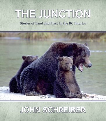 The Junction - John Schreiber