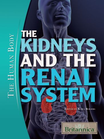 The Kidneys and the Renal System - Kara Rogers