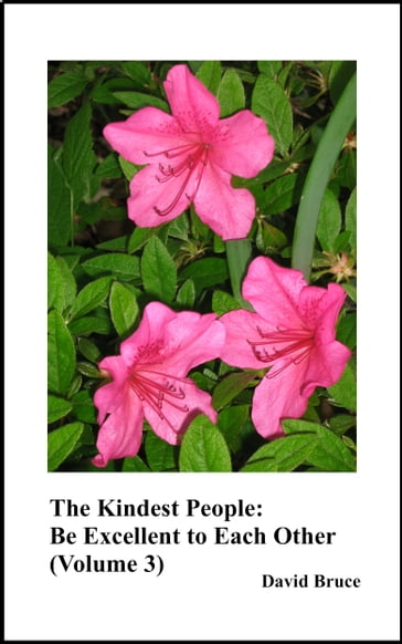 The Kindest People: Be Excellent to Each Other (Volume 3) - David Bruce