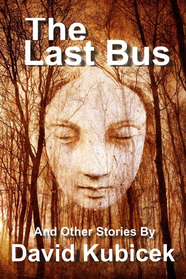 The Last Bus and Other Stories - David Kubicek