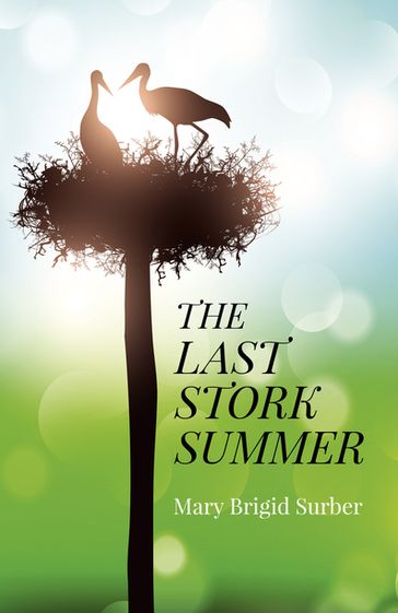 The Last Stork Summer - Mary Brigid Surber