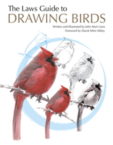 The Laws Guide to Drawing Birds - John Muir Laws